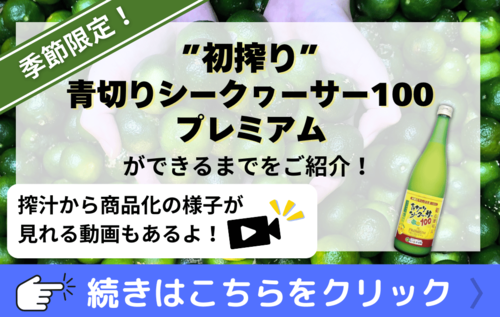 初搾り祭り！】初搾り青切りシークヮーサー100プレミアムの魅力